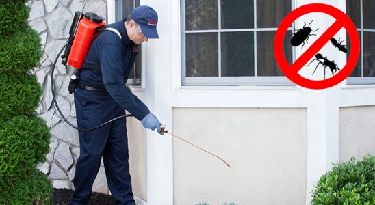 Görele Hamam Böceği İlaçlama böcek ilaçlama ve haşere kontrolü — ilaclama-tr.com